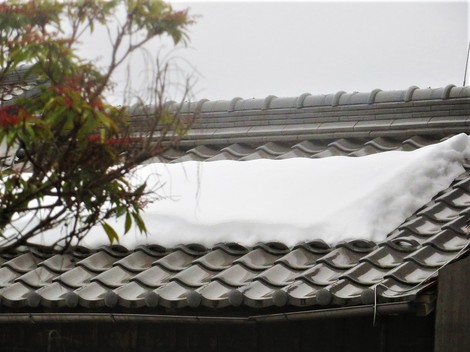 イブの雪風景・・・