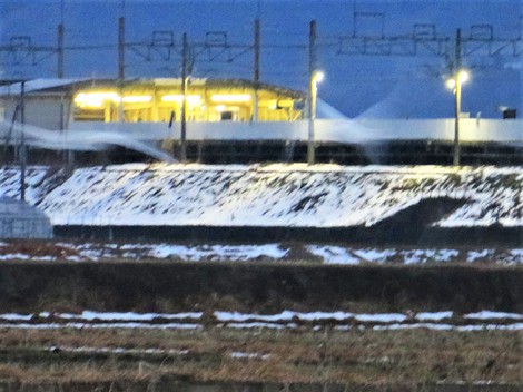 二月初日・・コハクチョウさん塒へ・・‥積雪も少なくなって・・