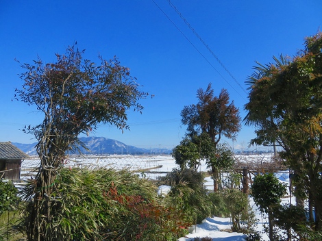 シャキッとの風景でした・・晴れ！
