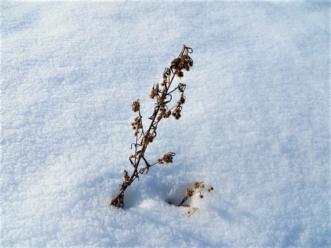大雪でもなく～土曜日