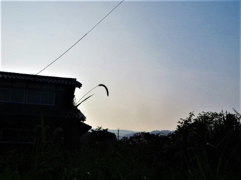朝のお月様を西の空に見て・・・暑さが始まった