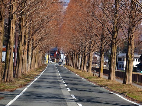見えるものが春になって・・土曜日