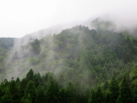 湿度高く・・山沿い雨で、琵琶湖岸は白雲も・・