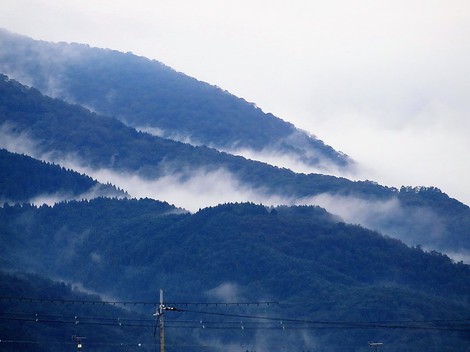 秋の曇り空で・・気温も低温で・・金曜日