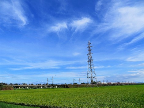 金曜日・・午後には気温も30度に・・台風5号もノロノロと・・