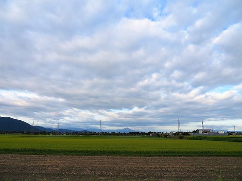 今日も日差しもあったけど・・風は秋の風のように・・