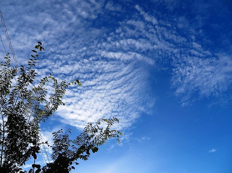 夕方の青空と白雲・・少し秋