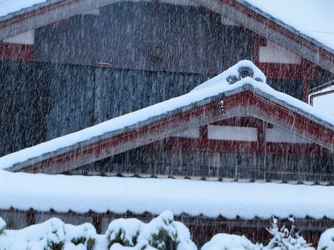 積雪は10センチ程度・・今日も降ったり止んだりの雪模様のようだ