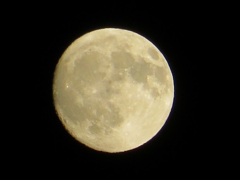 十五夜お月様・・２０１７