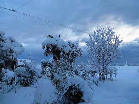 再び雪景色・・・