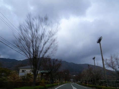 あまり寒くないけど・・夕方にコハクチョウ・・琵琶湖岸にて