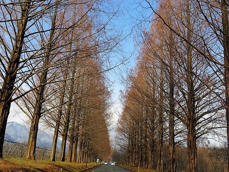 予想外に晴れ間も・・木曜日