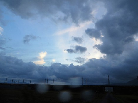 あまり寒くないけど・・夕方にコハクチョウ・・琵琶湖岸にて