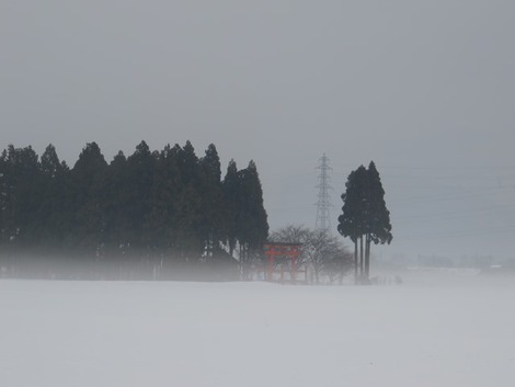 今日は「小寒」～「寒の内」の暦