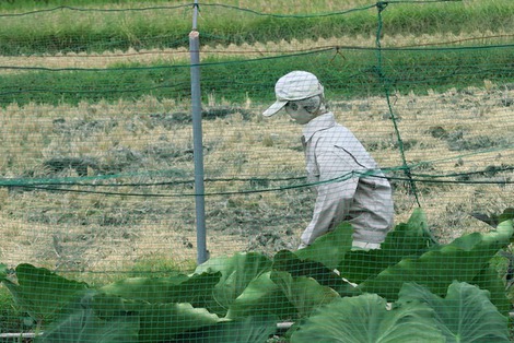 寒くなって１０月スタートでした
