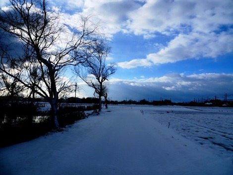 白い朝・・朝雪少々～～