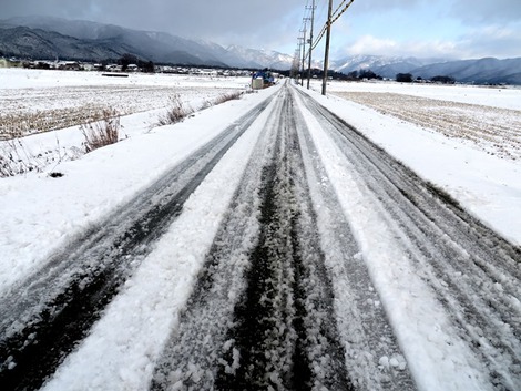 白い朝・・朝雪少々～～