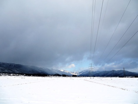 白い朝・・朝雪少々～～