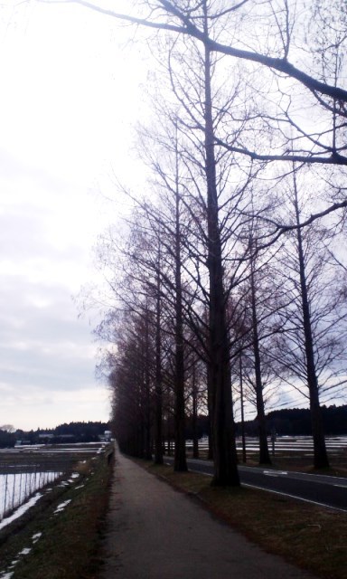 引っ込む冬～～気温高め