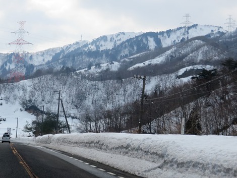 心を寄せる～フキノトウ～積雪