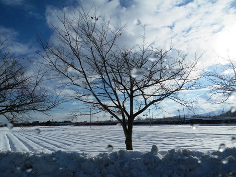 今回の降雪～遠のいて