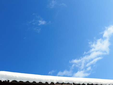 少し青空～～長い休みも終わります