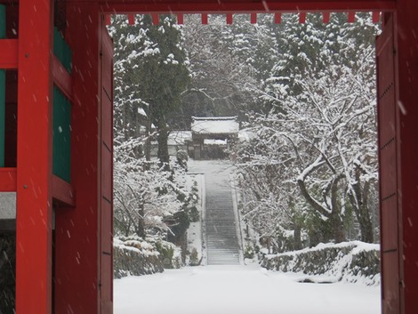 大寒の今日・・雪景色