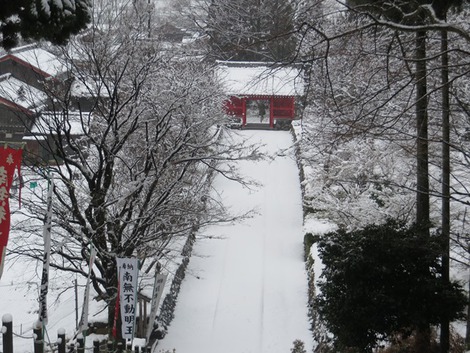 大寒の今日・・雪景色