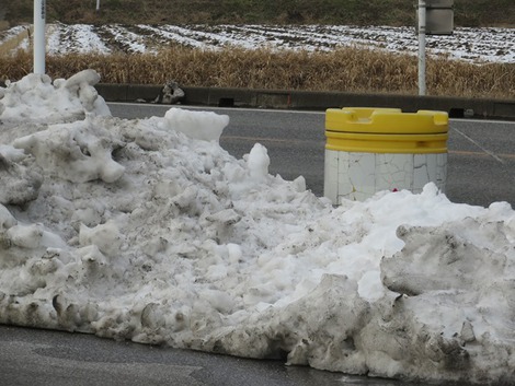 雪も減ってきましたが・・