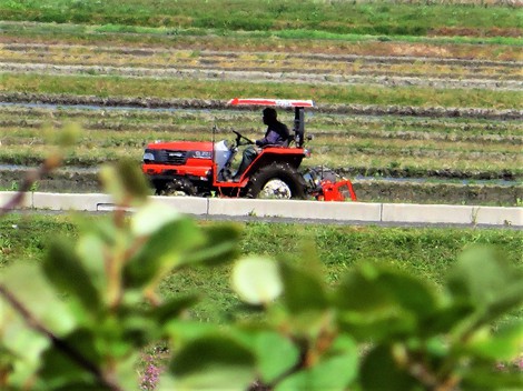 田植え作業が始まった・・日曜日