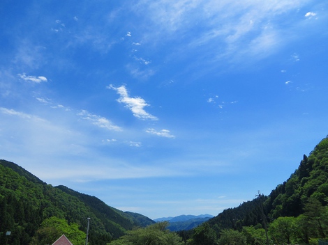 青い空が・・暦に小満が・・