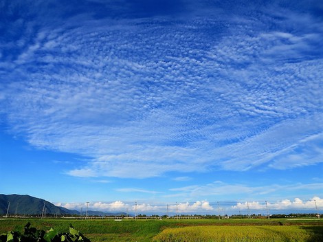 夕方の青空と白雲・・少し秋