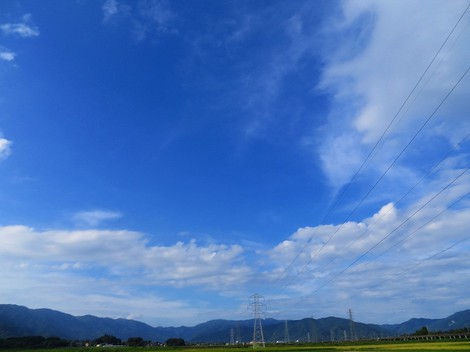 疲れが減っていかない・・一週間・・でも金曜日