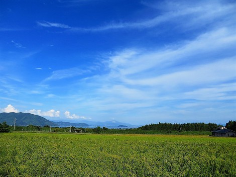 今日も秋空見ながら・・月曜日