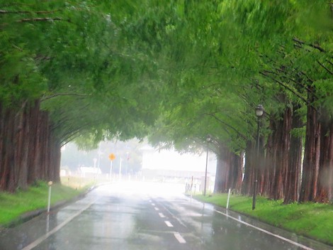 高島市　［発表］大雨警報（土砂災害）他・・10月22日