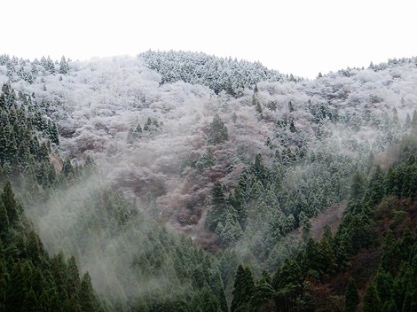 冷たい！風景ばかりで・・夕方遠くの山に雪・・