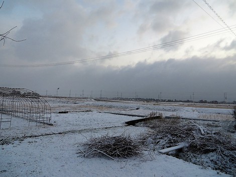 薄く雪の朝・・日曜日の朝冷たいわ！！
