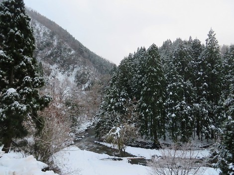 今日も風景は雪ばかりです・・火曜日