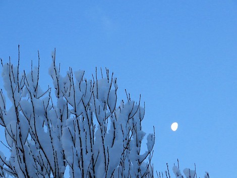 再び雪景色・・・