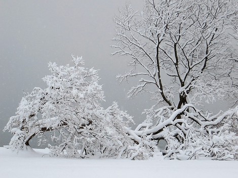 毎日・・雪景色ばかりですが・・低温も続き・大雪注意報も更新され・・・