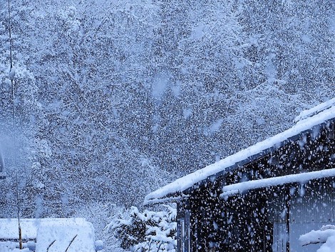 春の雪・・・寒い朝です
