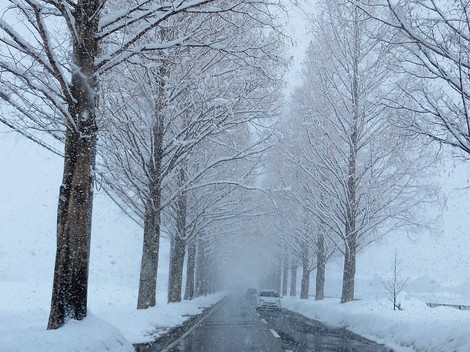時々の降雪と・・低温が継続の木曜日でした