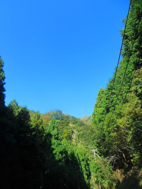 薄く秋の色彩も・・野山に・・