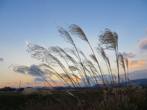 僅かな時間でした・・夕焼け空・・そして北風