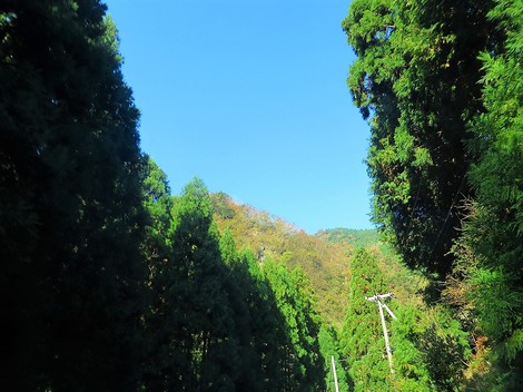 寒暖差・・激しく・・でも晴れの秋風景が・・