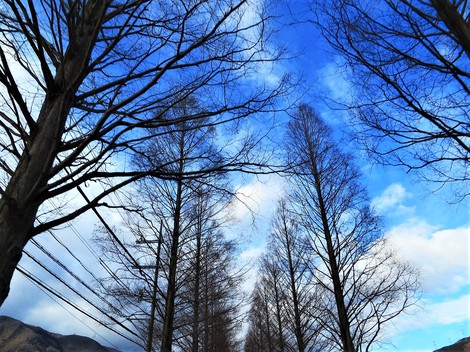 雪はないけど・・青空が・・
