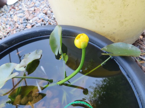 良いお天気で・・草刈作業三昧でした