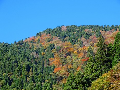 寒暖差・・激しく・・でも晴れの秋風景が・・