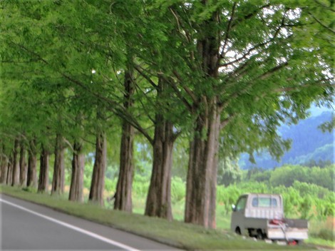 11人・・新規感染者‥高島市～～