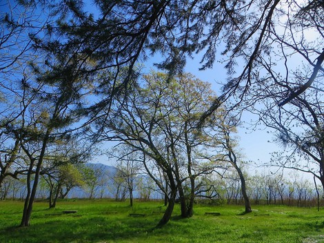 春の風景～晴れの景色でした・・木曜日